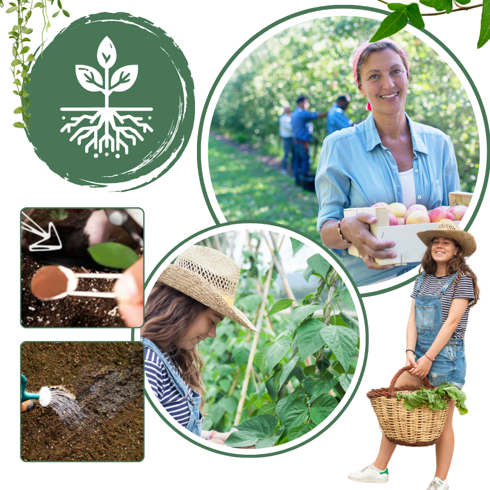 Organic Nutrients Soil Activator - Ozerty